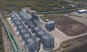 Фото елеватора Лебединський насіннєвий завод (Білопільський елеватор АФ Вікторія): компанія LNZ Group (ЛНЗ): Сумська область