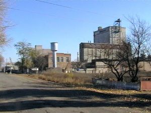 Фото елеватора Куйбишевський комбікормовий завод: компанія YEDNIST’ GROUP (Інтер-Єдинство Холдинг): Запорізька область