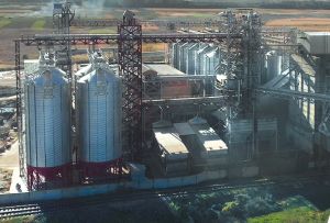 Фото елеватора Кайман-Північ (Жеребківський елеватор): компанія Кайман-Північ: Одеська область