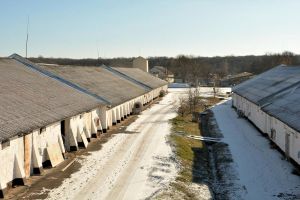 Фото елеватора Каролінський елеватор Суффле: компанія Soufflet Group: Вінницька область