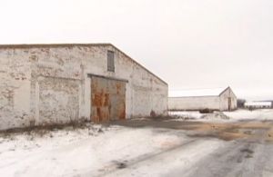 Фото елеватора АгроКІМ (Малківка): компанія ІМК: Чернігівська область