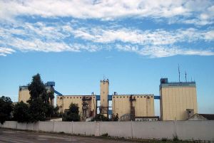 Фото елеватора Крижопільський елеватор: компанія Ферко: Вінницька область