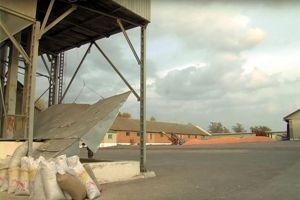 Фото елеватора Аграрна компанія 2004 (Котелянка): компанія VITAGRO: Хмельницька область