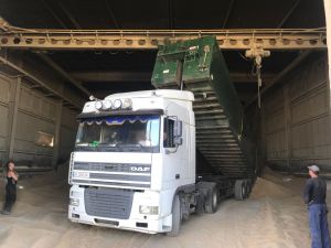 Фото елеватора Продовольча компанія АМ: компанія Новотех-Термінал: Одеська область