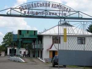 Фото елеватора Рівненський елеватор (Флорине): компанія TESSLAGROUP: Вінницька область