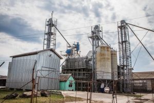 Фото елеватора Агросвіт-Волинь (Заріччя): компанія Агросвіт-Волинь: Волинська область