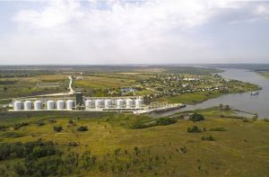 Фото елеватора Тернівська філія НІБУЛОНа: компанія СП НІБУЛОН: Запорізька область