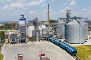 Фото елеватора Традекс Агрі: компанія Tradex Agri Group: Рівненська область