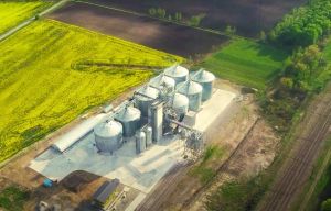 Фото елеватора Агро-Регіон (Миропільський елеватор): компанія Агро-Регіон: Житомирська область