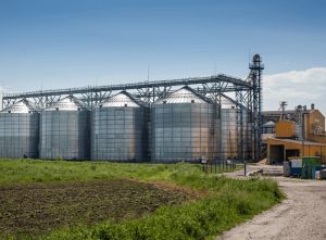 Фото елеватора Володимир-Волинській комбікормовий завод: компанія Avesterra Group: Волинська область