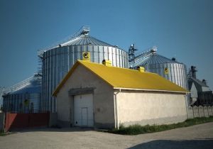 Фото елеватора Масарівські Липки: компанія ФГ Масарівські Липки: Тернопільська область
