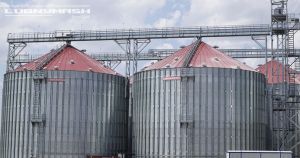 Фото елеватора Нива 2008: компанія Нива 2008: Чернігівська область