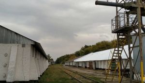Фото елеватора Коломацьке ХПП: компанія АГРОТРЕЙД: Харківська область