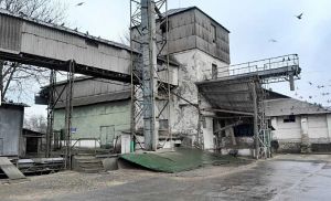 Фото елеватора Волинь-зерно-продукт (Рожище): компанія Волинь-зерно-продукт (ВІЛІЯ): Волинська область