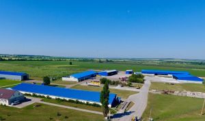 Фото елеватора Агро КМР (Троїцьке): компанія Агро КМР: Дніпропетровська область