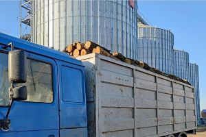Фото елеватора Агро Мастер: компанія ВДК Девелопмент: Миколаївська область