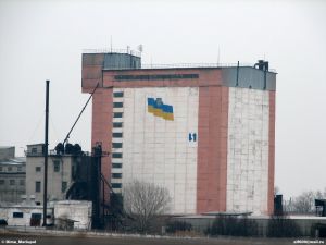 Фото елеватора Ілліч-Агро Донбас (Агроцех №31, Микільський ККЗ): компанія HarvEast Holding: Донецька область