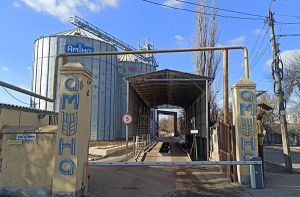 Фото елеватора Агро-Юг-Сервіс: компанія Агро-Юг-Сервіс (ТМ Аміна): Миколаївська область