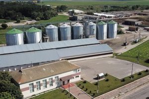Фото елеватора Єрчики: компанія Приватна агрофірма Єрчики: Житомирська область