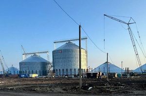 Фото елеватора Лан-Оіл (OKKO Group): компанія Лан Індастрі (OKKO Group): Тернопільська область
