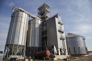 Фото елеватора Маяк (Поділля): компанія СТОВ Маяк: Тернопільська область