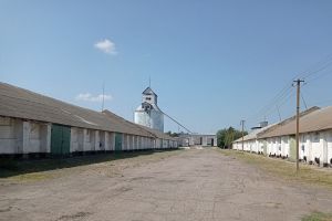 Фото елеватора Божедарівський елеватор: компанія Ristone Holdings: Дніпропетровська область