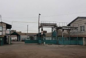 Фото елеватора Улянівський елеватор (Агро фірма Агро Інвест): компанія Dnipro Agro Group: Дніпропетровська область
