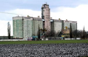 Фото елеватора П'ятихатський елеватор: компанія ТПК Алеф: Дніпропетровська область