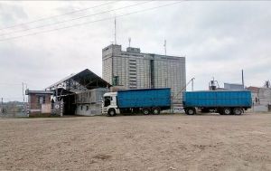 Фото елеватора Сонячне насіння (Васильківський елеватор): компанія Пологівський олійноекстракційний завод: Дніпропетровська область
