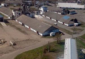 Фото елеватора Дмитрівське зернопереробне підприємство: компанія ТАС Агро: Чернігівська область