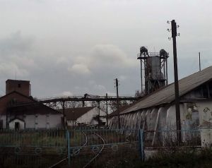 Фото елеватора Бровківське ХПП: компанія ДПЗКУ: Житомирська область