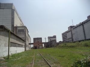 Фото елеватора Черняхівський елеватор: компанія ДПЗКУ: Житомирська область