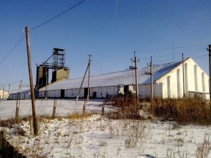Фото елеватора Яблунецьке ХПП: компанія Яблунецький олійний завод: Житомирська область