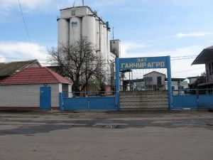 Фото елеватора Прометей Гайчурський елеватор: компанія ГК Прометей: Запорізька область