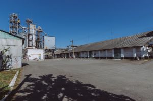 Фото елеватора Куликівське ХПП (Північхліб): компанія Grano Group: Чернігівська область