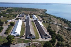 Фото елеватора Кам'янка-Дніпровський елеватор Благовіщенський-Зернопродукт: компанія TESSLAGROUP: Запорізька область