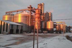 Фото елеватора Спецагропроект (Рогатинський елеватор УЛФ): компанія UkrLandFarming (УЛФ): Івано-Франківська область
