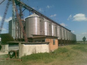 Фото елеватора Березанський переробний завод (БЗК Грейн): компанія БЗК Грейн: Київська область
