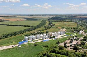 Фото елеватора Денихівська філія НІБУЛОНа: компанія СП НІБУЛОН: Київська область