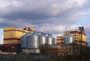 Фото елеватора Васильківхлібопродукт: компанія Кулиничі: Київська область