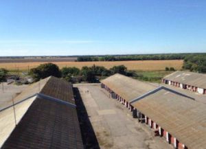 Фото елеватора Аграріко (Рацеве): компанія TESSLAGROUP: Черкаська область