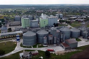 Фото елеватора Катеринопільський елеватор МХП: компанія МХП: Черкаська область
