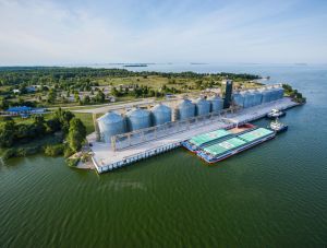 Фото елеватора Філія Вітове НІБУЛОНа: компанія СП НІБУЛОН: Черкаська область