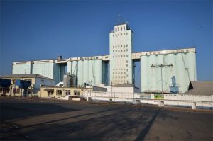Фото елеватора ОЛАМ Білоцерківський елеватор: компанія OLAM Group: Київська область