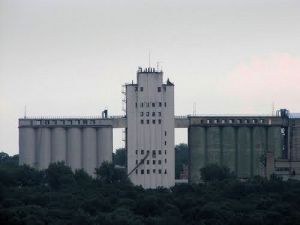 Фото елеватора Кіровоградський КХП №1: компанія ДПЗКУ: Кіровоградська область