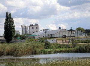 Фото елеватора Поле-Грейн (Користівське ХПП): компанія Агродар ЛТД (Зернарі): Кіровоградська область