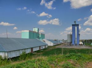 Фото елеватора Куцівський елеватор КАРГІЛЛ: компанія Cargill: Кіровоградська область