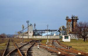 Фото елеватора Зернолія (Хащуватський елеватор): компанія TESSLAGROUP: Кіровоградська область