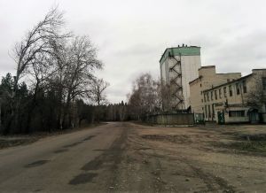 Фото елеватора Біловодський елеватор: компанія Біловодський елеватор: Луганська область