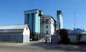 Фото елеватора Зернопромтрейд (Кам'янка-Бузький КХП): компанія Зернопромтрейд: Львівська область